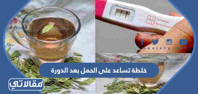 خلطة تساعد على الحمل بعد الدورة