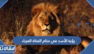 رؤية الأسد في منام الفتاة العزباء