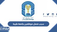 سبب فصل موظفين جامعة طيبة