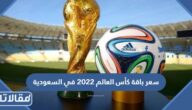 كم سعر باقة كأس العالم 2022 في السعودية