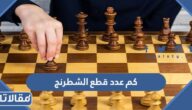 كم عدد قطع الشطرنج