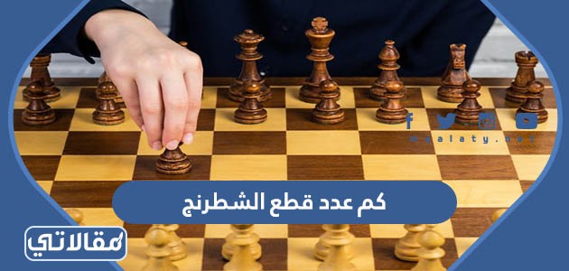كم عدد قطع الشطرنج