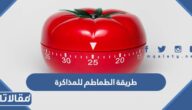 ماهي طريقة الطماطم للمذاكرة وهل هي مفيدة؟