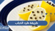 طريقة طرد الذباب من المنزل نهائيًا