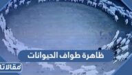 ظاهرة طواف الحيوانات ما هي وما أسبابها