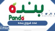 كم عدد فروع بنده ماركت في السعودية