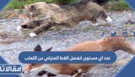 عند اي مستوى انفصل القط المنزلي عن الثعلب