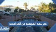 كم تبعد القويعية عن المزاحمية