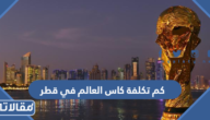 كم تكلفة كاس العالم في قطر 2022