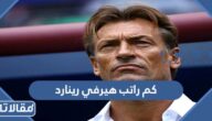 كم راتب هيرفي رينارد مدرب المنتخب السعودي