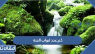 كم عدد ابواب الجنة
