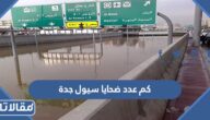 كم عدد ضحايا سيول جدة 2022