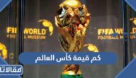 كم قيمة كأس العالم وكم وزنه