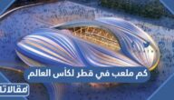 كم ملعب في قطر لكأس العالم 2022