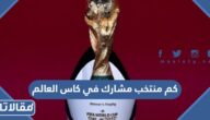 كم منتخب مشارك في كاس العالم 2022 قطر