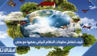 كيف تتفاعل مكونات النظام البيئي بعضها مع بعض