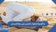 ما أهمية الصلوات الخمس في حياة المسلم