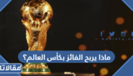 ماذا يربح الفائز بكأس العالم؟