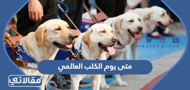متى يوم الكلب العالمي