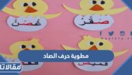 مطوية حرف الصاد pdf جاهزة للتحميل