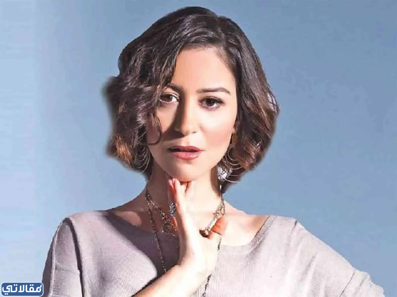 من هي منة شلبي ويكيبيديا