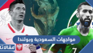 تاريخ مواجهات السعودية وبولندا في كرة القدم