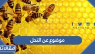 موضوع عن النحل وأهميته كامل العناصر pdf