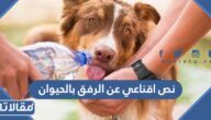 نص اقناعي عن الرفق بالحيوان الصف الخامس
