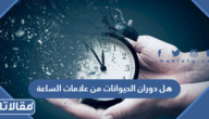 هل دوران الحيوانات حول نفسها دائريا من علامات الساعة؟