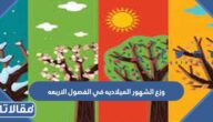وزع الشهور الميلاديه في الفصول الاربعه