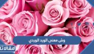 وش معنى الورد الوردي وما الذي يرمز إليه
