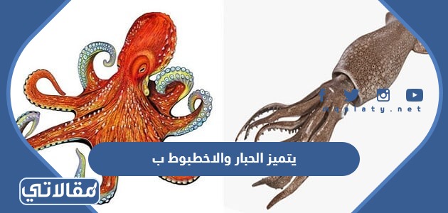 يتميز الحبار والاخطبوط ب