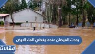 يحدث الفيضان عندما يغطي الماء الارض