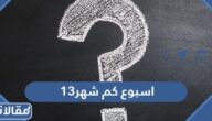 13 اسبوع كم شهر