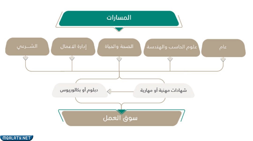 نظام مسارات في السعودية