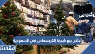 أماكن بيع شجرة الكريسماس في السعودية 2025 مع الأسعار