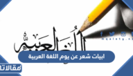 ابيات شعر عن يوم اللغة العربية العالمي 2025 اجمل قصيدة عن عظمة اللغة