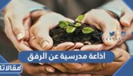 اذاعة مدرسية عن الرفق وفضله