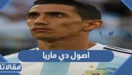 اصول دي ماريا من وين