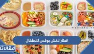 افكار لانش بوكس للاطفال Lunch Box للمدرسة سهلة وصحية وسريعة
