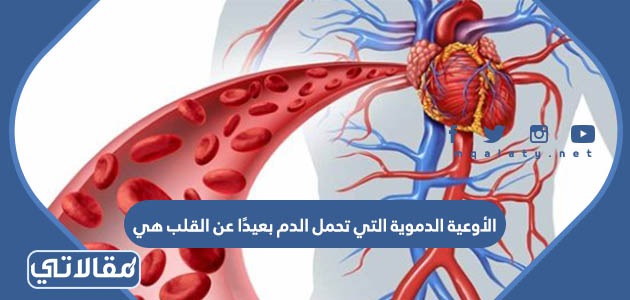 الأوعية الدموية التي تحمل الدم بعيدًا عن القلب هي