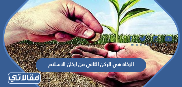 الزكاة هي الركن الثاني من اركان الاسلام
