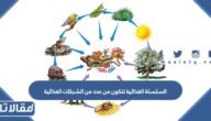 السلسلة الغذائية تتكون من عدد من الشبكات الغذائية
