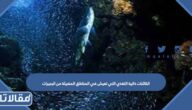 الكائنات ذاتية التغذي التي تعيش في المناطق المضيئة من البحيرات