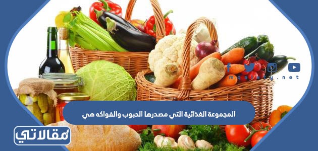 المجموعة الغذائية التي مصدرها الحبوب والفواكه هي