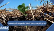 تتكون التربة من بقايا النباتات والحيوانات الميتة فقط