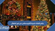 حكم اقتناء شجرة الكريسماس من غير احتفال
