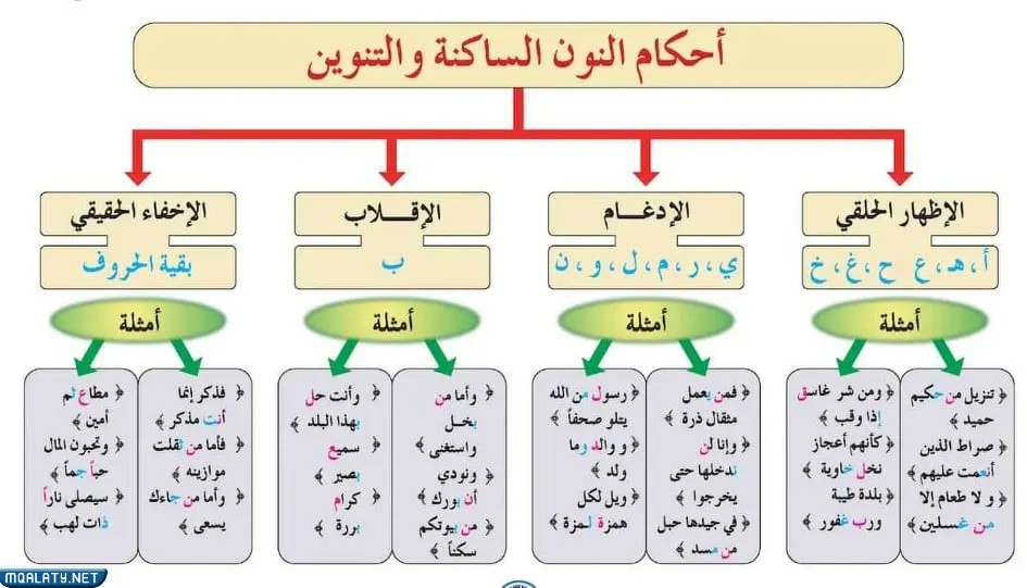 خريطة مفاهيم أحكام النون الساكنة والتنوين