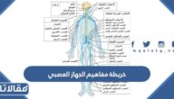 خريطة مفاهيم الجهاز العصبي بجودة عالية