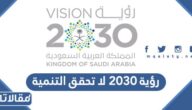 رؤية 2030 لا تحقق التنمية